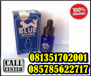 [Image: blue%20wizad.gif]